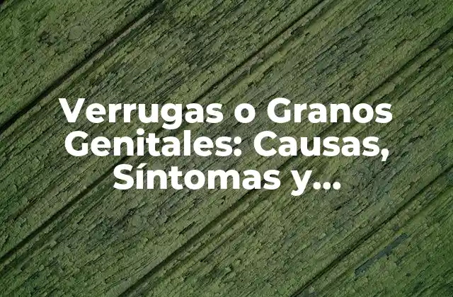 Verrugas o Granos Genitales: Causas, Síntomas y Tratamiento