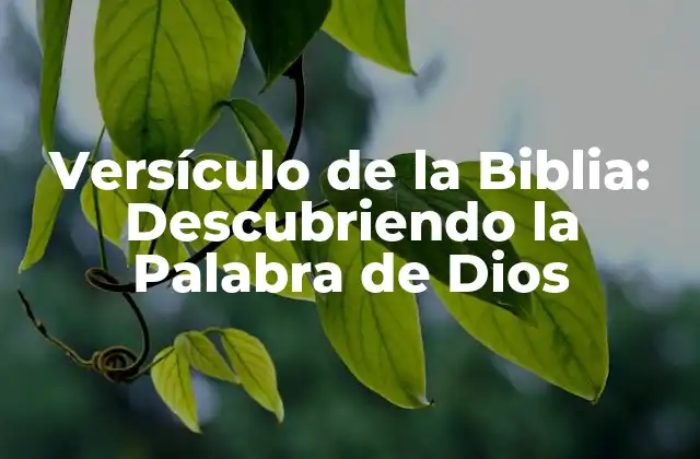 ¿Qué es un Versículo de la Biblia?