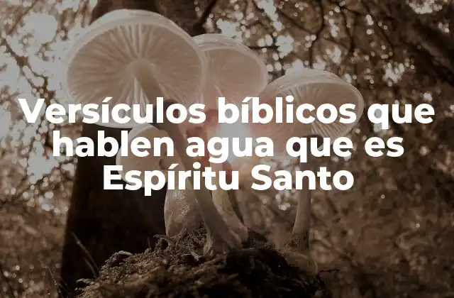 Versículos Bíblicos que Hablen Agua que es Espíritu Santo