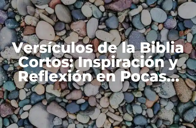 Versículos de la Biblia Cortos: Inspiración y Reflexión en Pocas Palabras