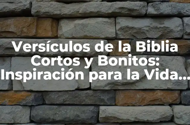 Versículos de la Biblia Cortos y Bonitos: Inspiración para la Vida Diaria