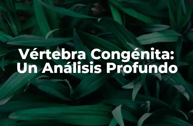 Vértebra Congénita: un Análisis Profundo