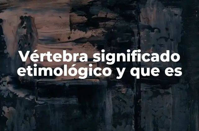 Vértebra Significado Etimológico y que es