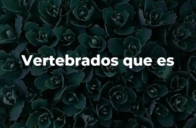 Características principales de los vertebrados
