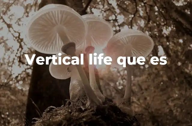 Vertical Life que es