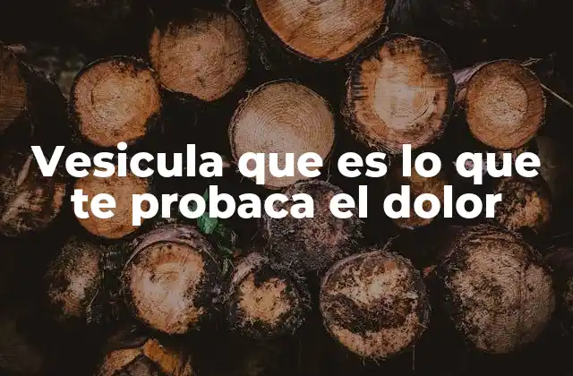 Vesicula que es Lo que Te Probaca el Dolor 2 El papel de la vesícula en el sistema digestivo