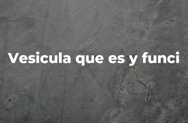 Vesicula que es y Funci