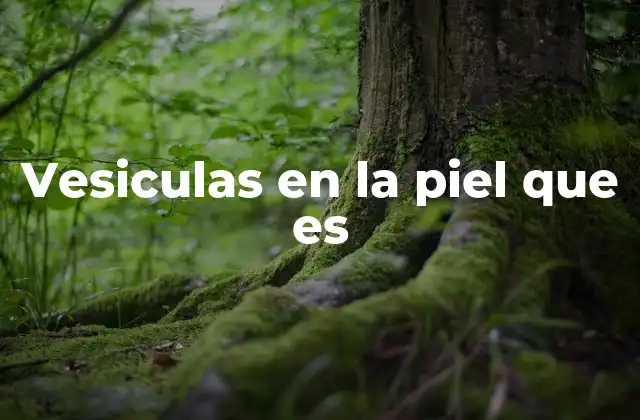 Vesiculas en la Piel que es