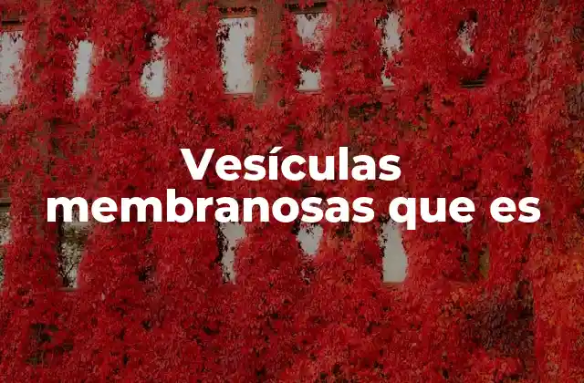 Vesículas Membranosas que es