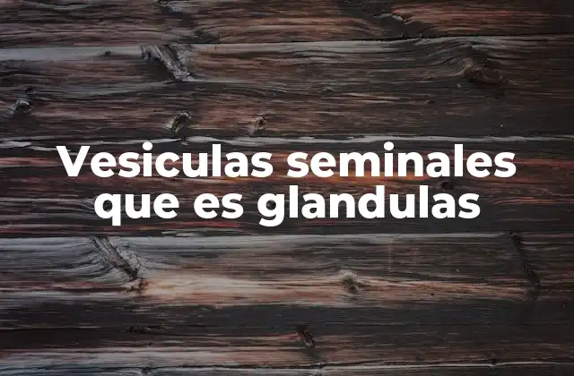 Vesiculas Seminales que es Glandulas