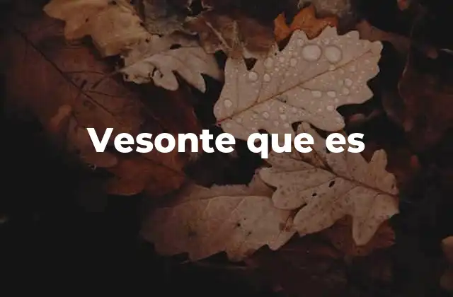 Vesonte que es 2 El uso coloquial de frases similares a vesonte que es