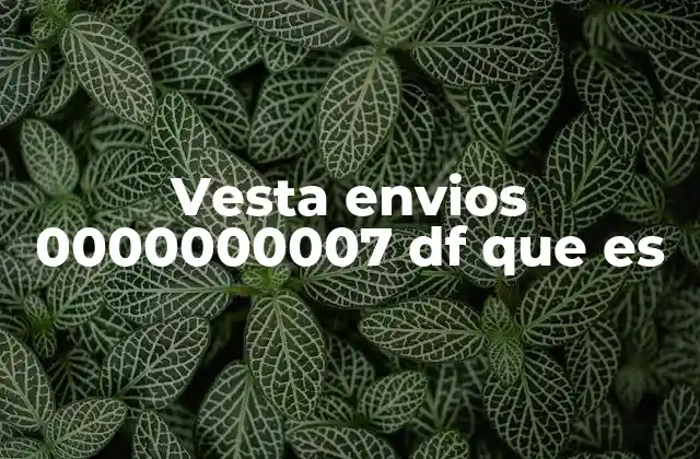 Vesta Envios 0000000007 Df que es