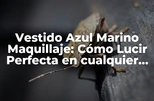 Vestido Azul Marino Maquillaje: Cómo Lucir Perfecta en Cualquier Ocasión