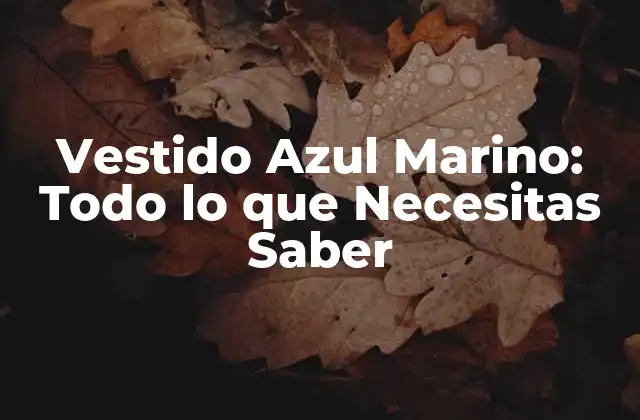 Vestido Azul Marino: Todo Lo que Necesitas Saber