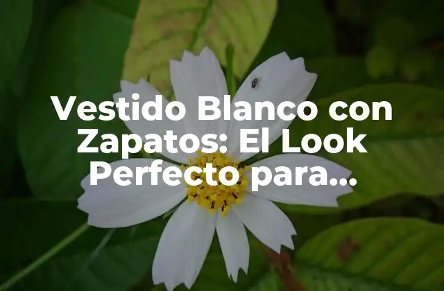 Vestido Blanco con Zapatos: el Look Perfecto para Cualquier Ocasión