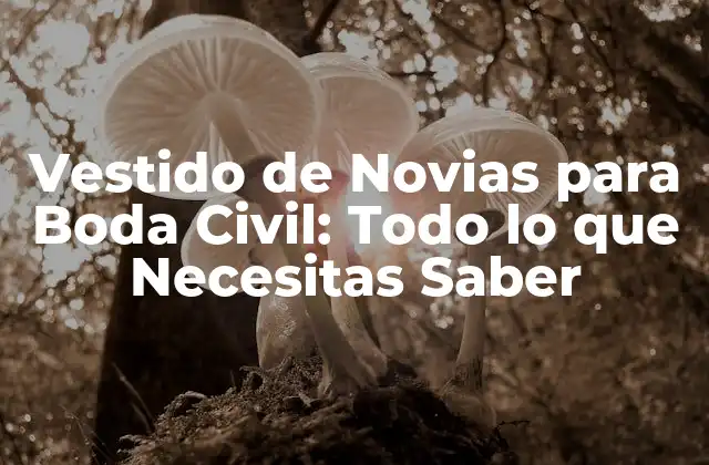 Vestido de Novias para Boda Civil: Todo Lo que Necesitas Saber
