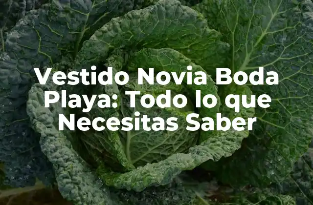 Vestido Novia Boda Playa: Todo Lo que Necesitas Saber