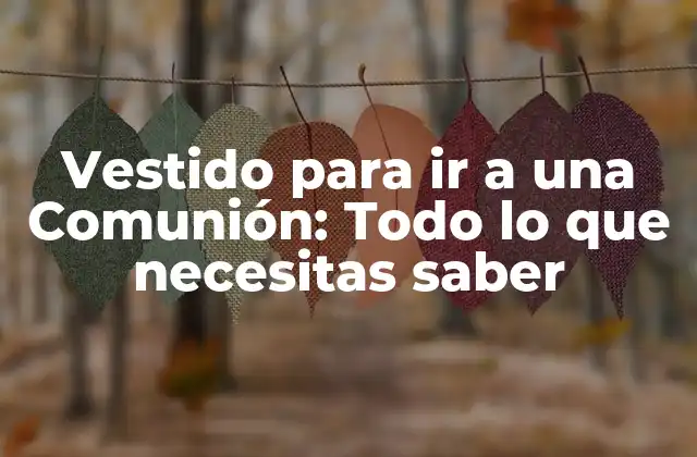 Vestido para Ir a una Comunión: Todo Lo que Necesitas Saber