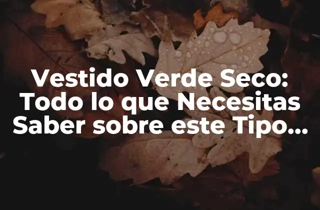 Vestido Verde Seco: Todo Lo que Necesitas Saber sobre Este Tipo de Prenda
