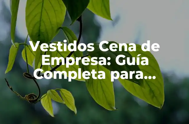 Vestidos Cena de Empresa: Guía Completa para Impresionar