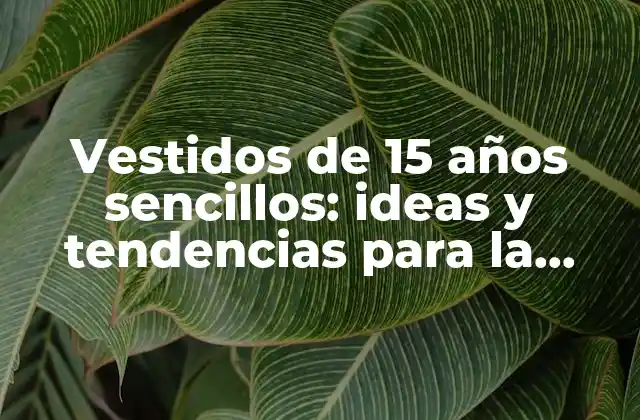 Vestidos de 15 Años Sencillos: Ideas y Tendencias para la Celebración de Quinceañeras