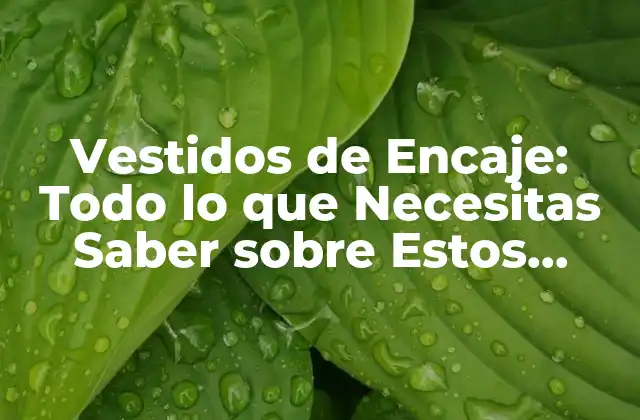 Vestidos de Encaje: Todo Lo que Necesitas Saber sobre Estos Trajes Emocionantes