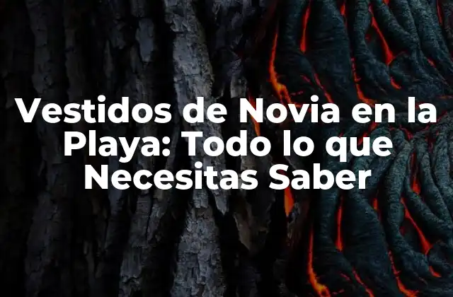 Vestidos de Novia en la Playa: Todo Lo que Necesitas Saber