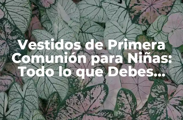 Vestidos de Primera Comunión para Niñas: Todo Lo que Debes Saber