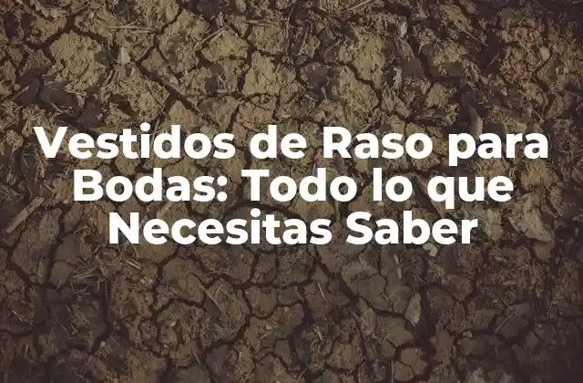 Vestidos de Raso para Bodas: Todo Lo que Necesitas Saber