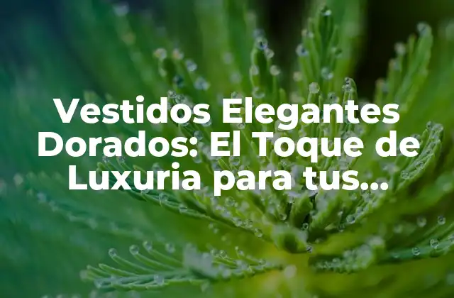 Vestidos Elegantes Dorados: el Toque de Luxuria para Tus Eventos Especiales