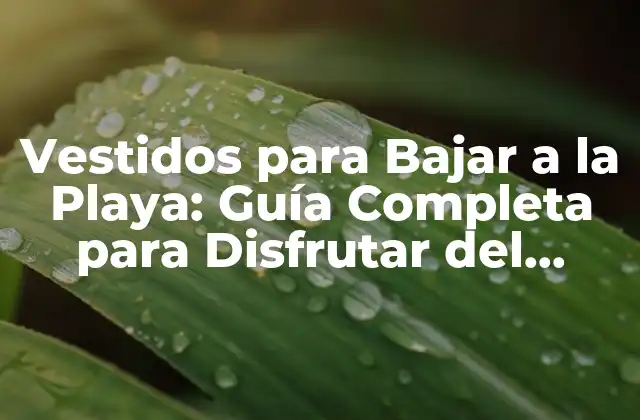 Vestidos para Bajar a la Playa: Guía Completa para Disfrutar Del Verano