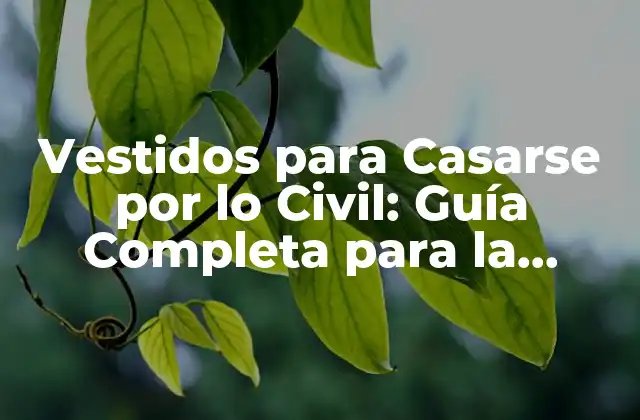 Vestidos para Casarse por Lo Civil: Guía Completa para la Elección Del Vestido Perfecto