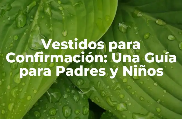 Vestidos para Confirmación: una Guía para Padres y Niños