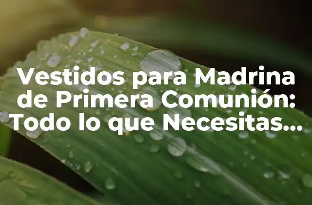 Vestidos para Madrina de Primera Comunión: Todo Lo que Necesitas Saber