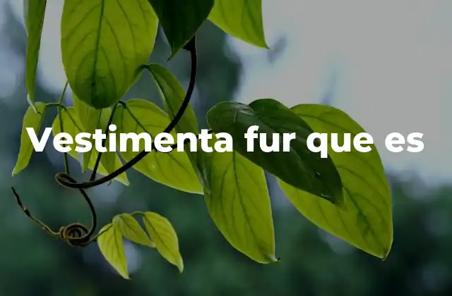 Vestimenta Fur que es