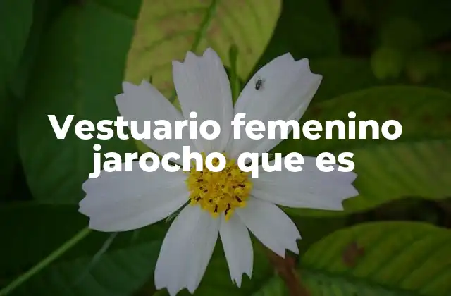 Vestuario Femenino Jarocho que es