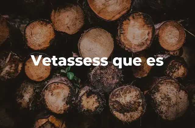 Vetassess que es