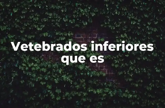 Vetebrados Inferiores que es