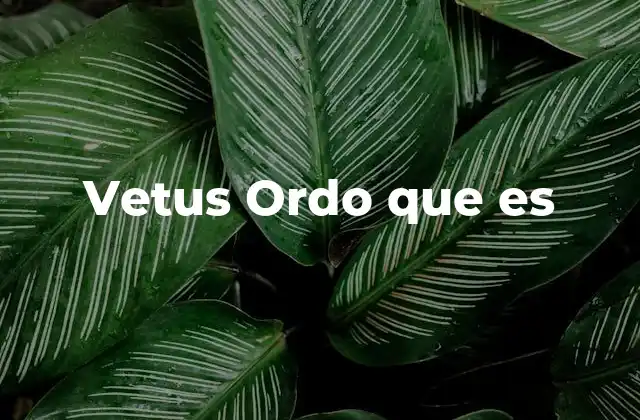 Vetus Ordo que es