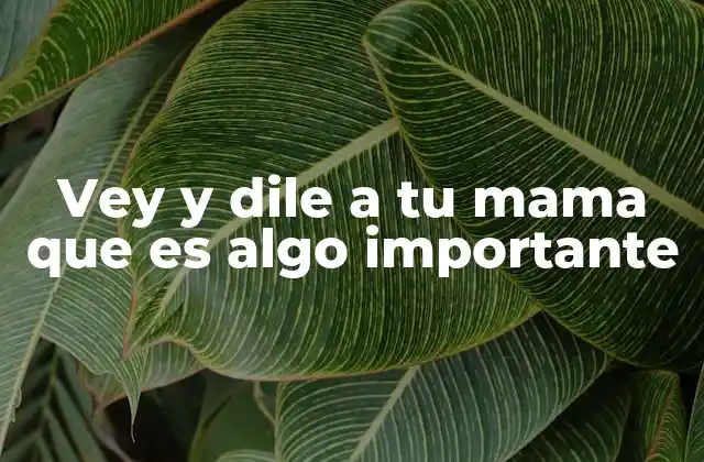 Vey y Dile a Tu Mama que es Algo Importante