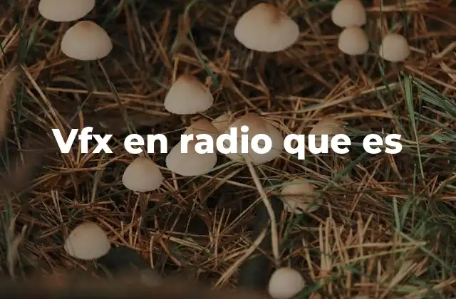 Vfx en Radio que es