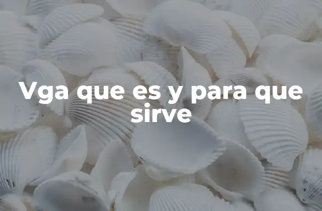 Vga que es y para que Sirve