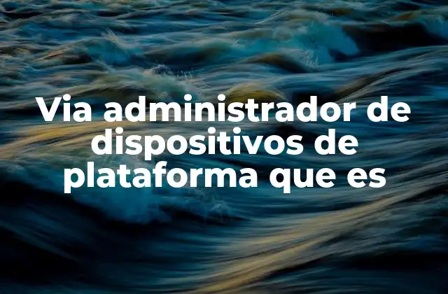 Via Administrador de Dispositivos de Plataforma que es