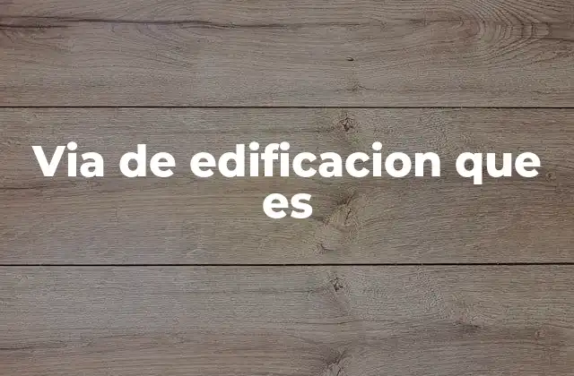 Via de Edificacion que es