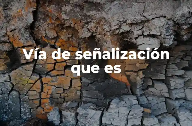 Cómo funcionan las vías de señalización en la biología celular