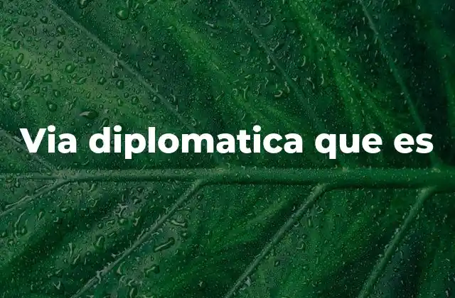 Via Diplomatica que es 2 La importancia de mantener canales de comunicación entre naciones