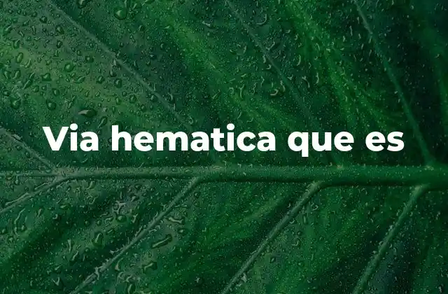 Via Hematica que es 2 La importancia de la vía hematica en la farmacología