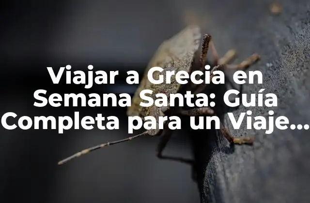 Viajar a Grecia en Semana Santa: Guía Completa para un Viaje Inolvidable
