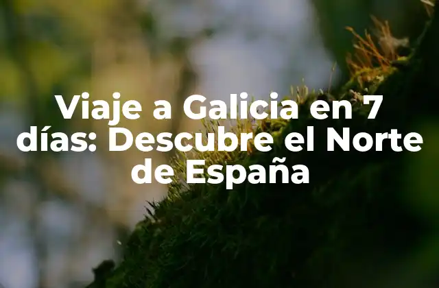 Viaje a Galicia en 7 Días: Descubre el Norte de España