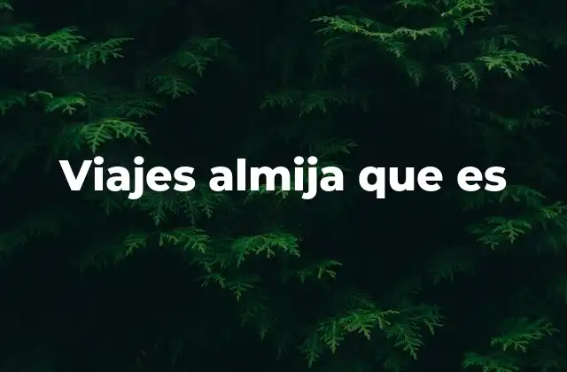 Viajes Almija que es